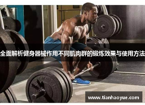 全面解析健身器械作用不同肌肉群的锻炼效果与使用方法