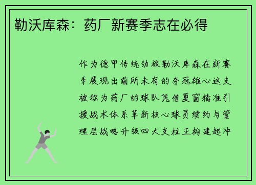 勒沃库森：药厂新赛季志在必得