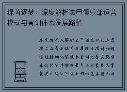 绿茵逐梦：深度解析法甲俱乐部运营模式与青训体系发展路径