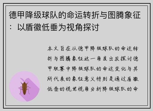 德甲降级球队的命运转折与图腾象征：以盾徽低垂为视角探讨