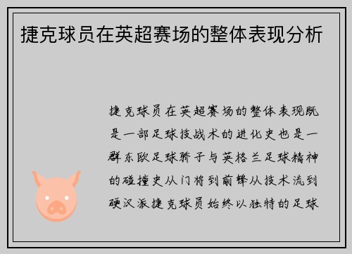 捷克球员在英超赛场的整体表现分析